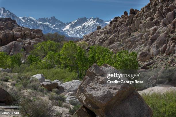 The Sierra Nevada Mountains are viewed from the Alabama Hills on April 4 near Lone Pine, California. Owens Valley is an arid valley in eastern...