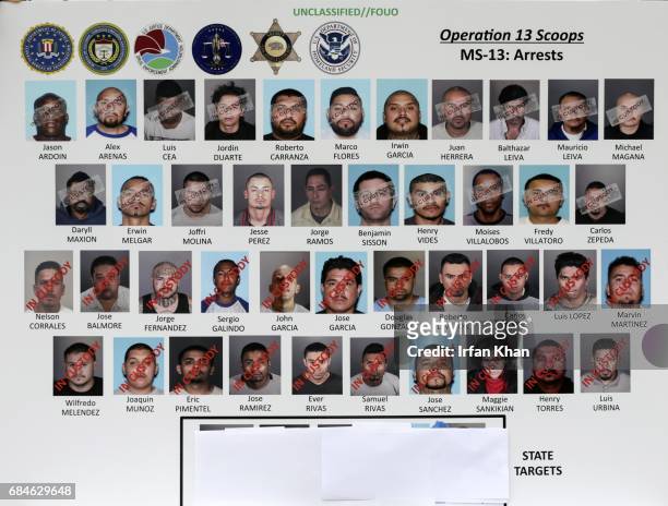 Roughly two dozen accused members of the violent MS-13 gang were arrested before dawn Wednesday as federal and local investigators forced their way...
