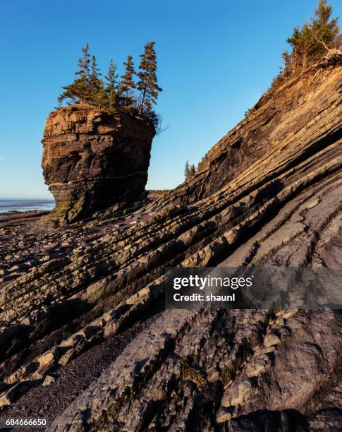 bay of fundy flower pot - bay of fundy stock pictures, royalty-free photos & images