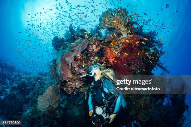 scuba diver sta esplorando e godendo la vita marina della barriera corallina sporting donne fotografo subacqueo - macchina fotografica subacquea foto e immagini stock