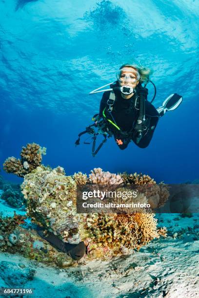 scuba diver is exploring and enjoying coral reef sea life sporting women underwater photographer - mergulho autónomo imagens e fotografias de stock