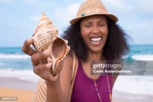 大海的禮物。在人類的手的貝殼。 - conch shell 個照片及圖片檔