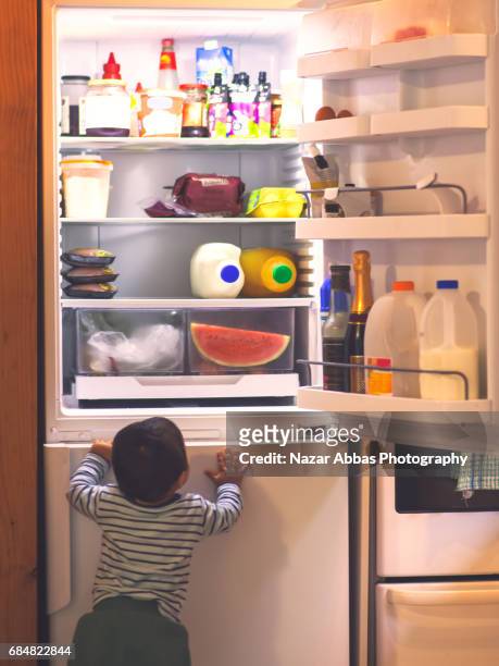 Baby Boy Exploring Refrigerator.