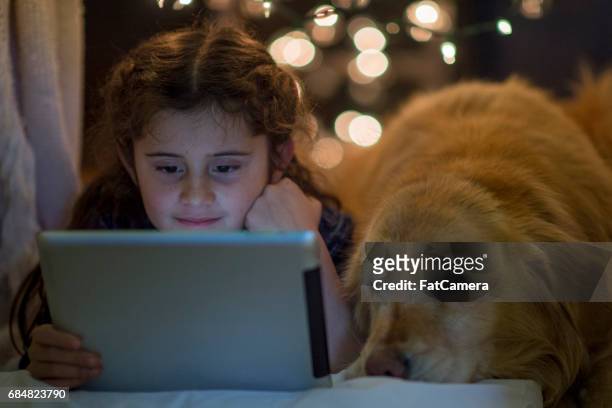 girl and doggy - kids fort stock pictures, royalty-free photos & images