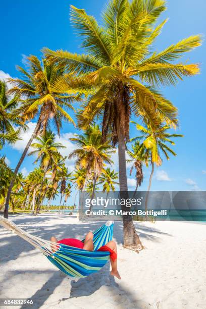 caucasian woman lying on hammock on a tropical beach. - dominican republic stock pictures, royalty-free photos & images
