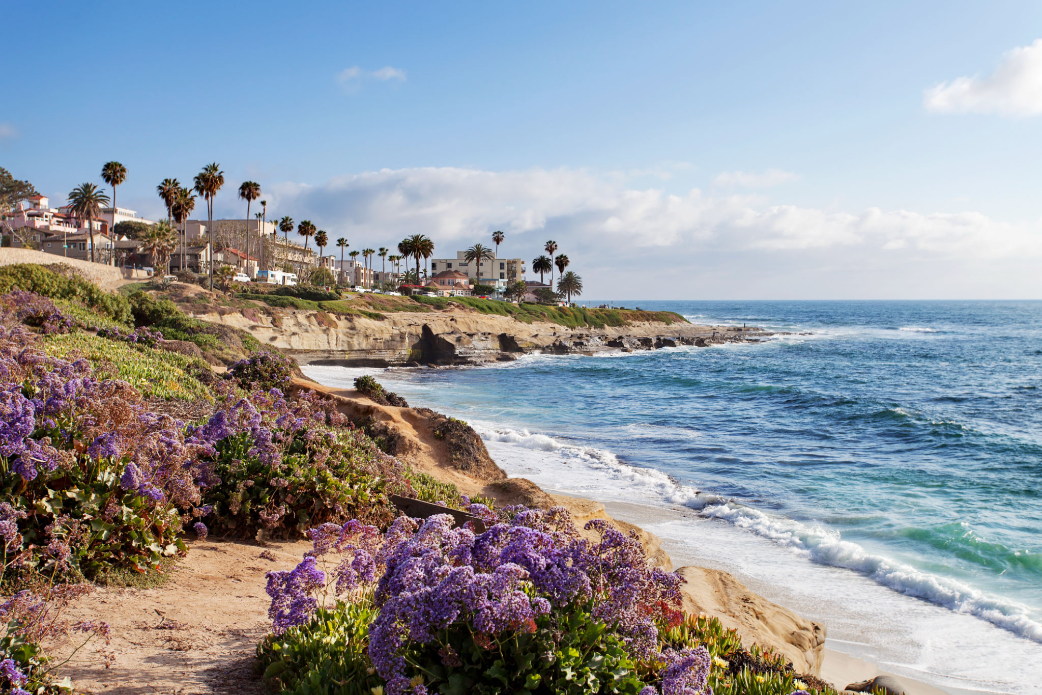la jolla beach