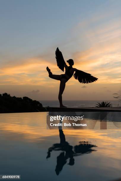 sunset angel - costume wing stock pictures, royalty-free photos & images