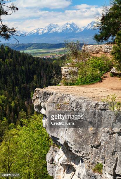 high tatras view from tomashovsky viewpoint in the slovak paradise national park. - tatra mountains stock pictures, royalty-free photos & images