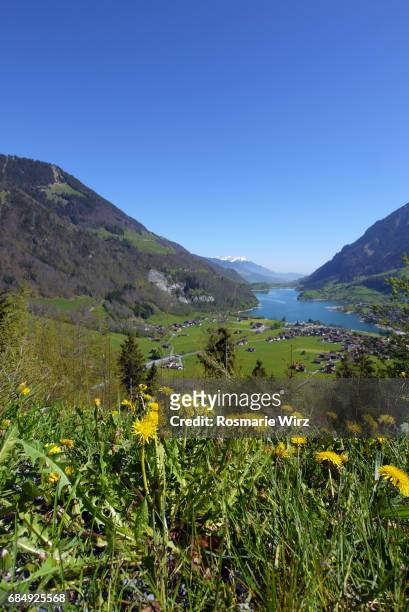 lake lungern seen from above. - lungern stock pictures, royalty-free photos & images