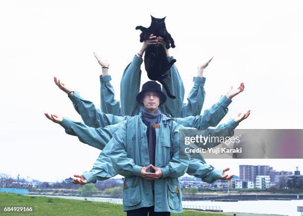 worship the cat - cat praying stock-fotos und bilder