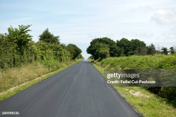 road near barfleur, normandy region, france - manche stockfoto's en -beelden