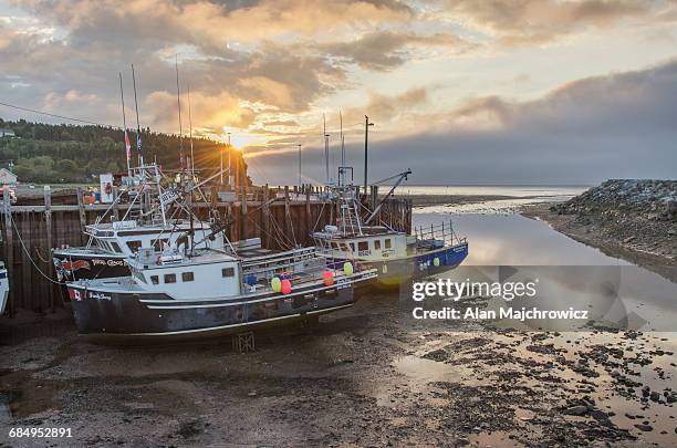 bay of fundy low tide - bay of fundy stockfoto's en -beelden