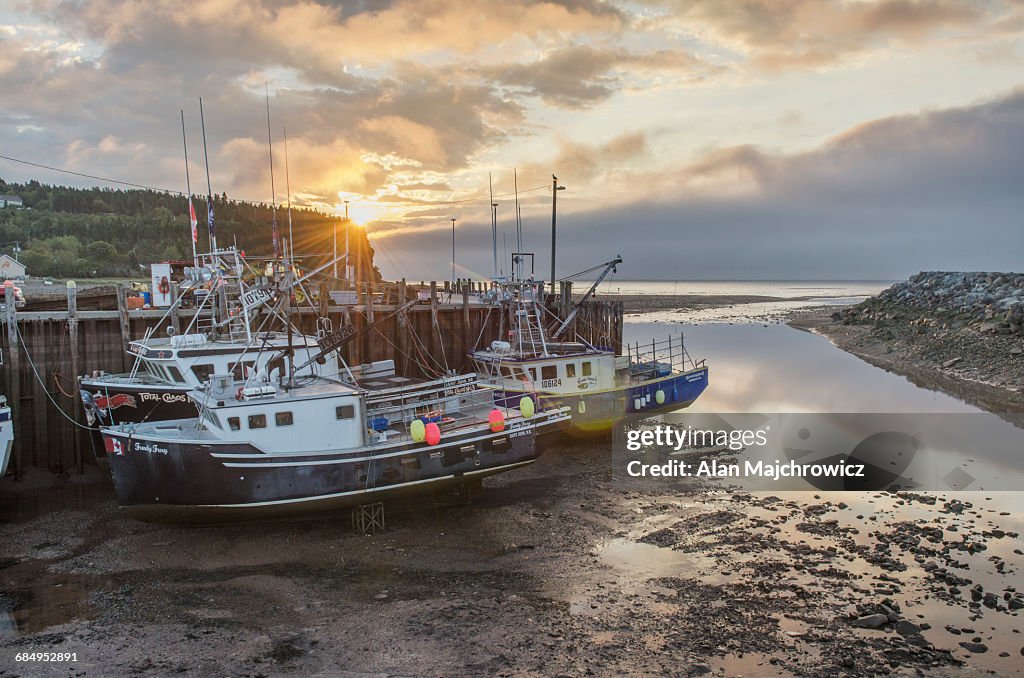 Bay of Fundy low tide