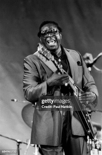 Albert King at the Petrillo Bandshell in Chicago, Illinois, June 6, 1986.