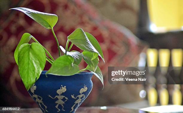 hand painted warli art on a flower pot/money plant/pothos - planta del dinero fotografías e imágenes de stock