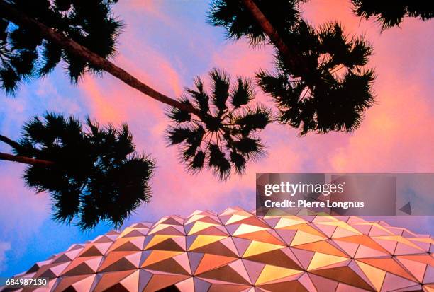 detail of spaceship earth (epcot center) a dusk with palm trees - low angle view of silhouette palm trees against sky stock pictures, royalty-free photos & images
