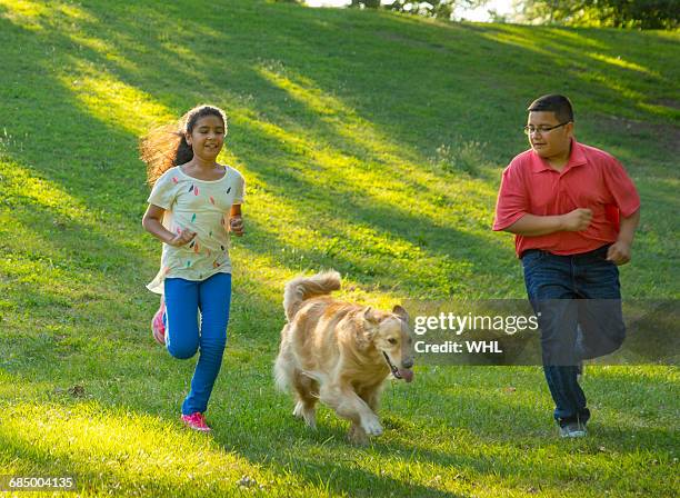 hispanic brother and sister running with dog on hill - boy running with dog stock-fotos und bilder
