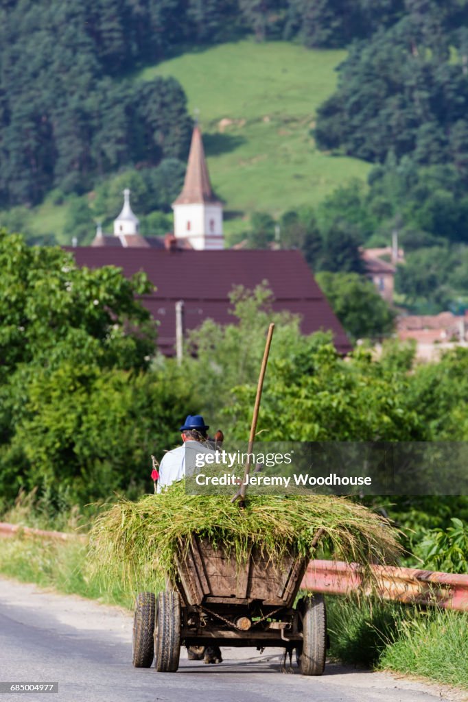 Horse-drawn cart carrying hay, Sibiu, Transylvania, Romania