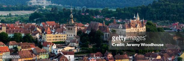 trees in cityscape, sighisoara, transylvania, romania - mures stock pictures, royalty-free photos & images