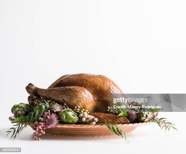 whole roasted turkey - thanksgiving plate of food fotografías e imágenes de stock