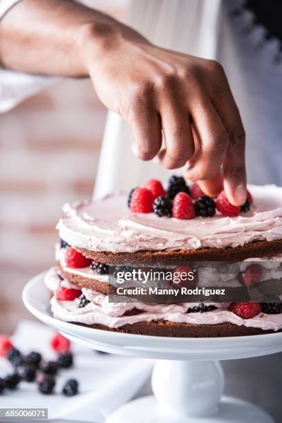 chocolate cake with berries and cream filling - decorating a cake - fotografias e filmes do acervo