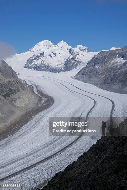 caucasian hiker on snowy road, aletsch glacier, canton graubunden, switzerland - aletsch glacier stock pictures, royalty-free photos & images