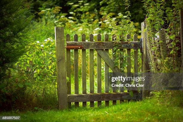 wooden gate green field - fences 2016 film stock-fotos und bilder