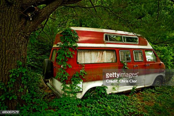 foliage growing on abandoned camper van in forest - chris motionless - fotografias e filmes do acervo