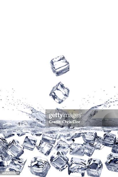 falling ice cubes splashing into water and floating - glaçons photos et images de collection