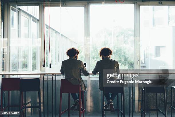 rear view of male hipster twins working at office desk - multiple birth stock pictures, royalty-free photos & images