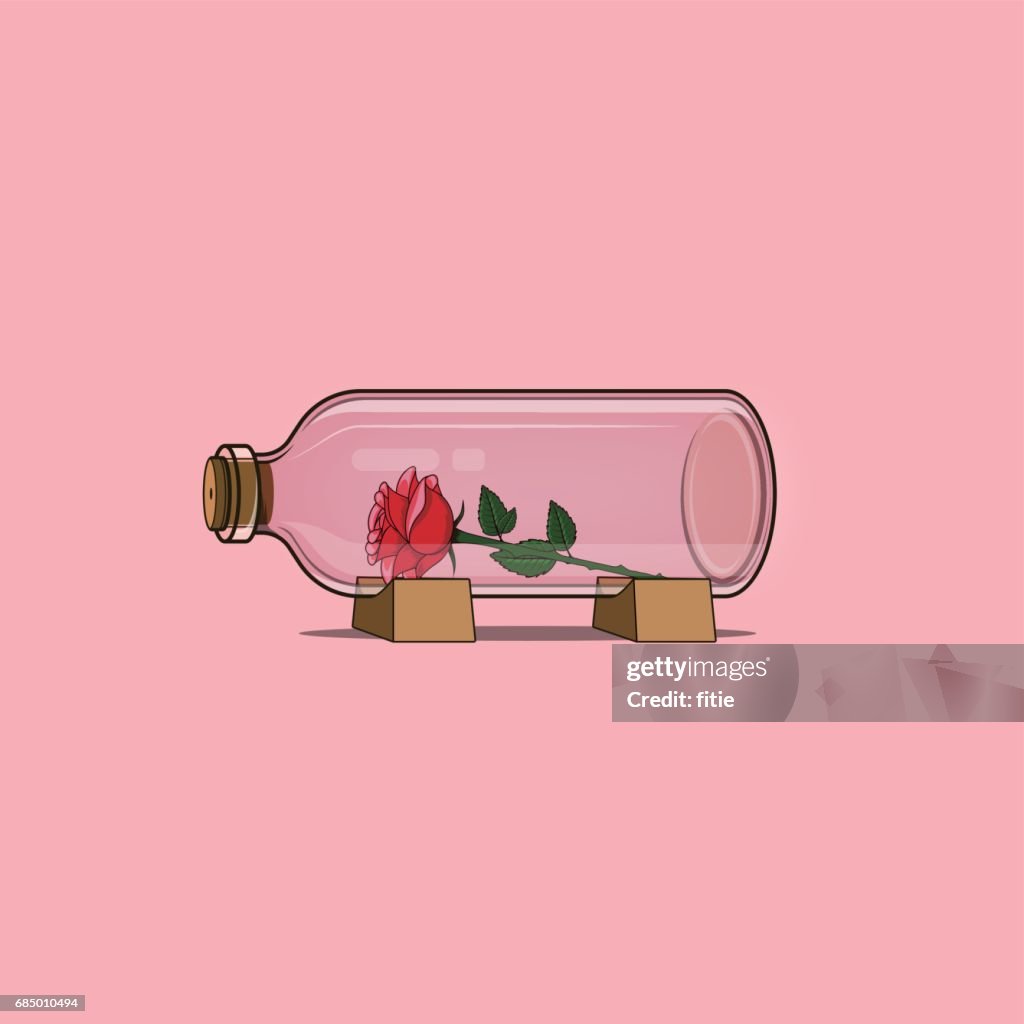 Nahaufnahme von roten Rose In der Flasche