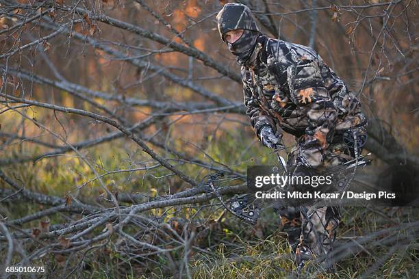 hunter ground stalking whitetail deer - stalking animal hunting stockfoto's en -beelden