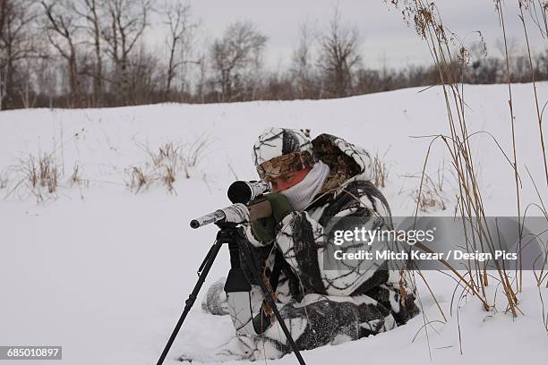 varmint hunter with rifle on bipod on prairies - hunting camouflage patterns stockfoto's en -beelden