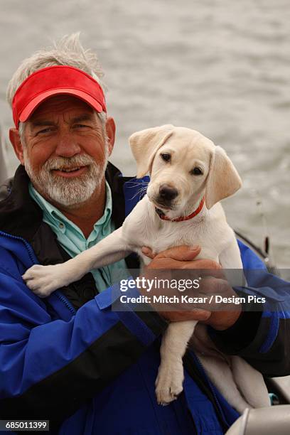 walleye fisherman with yellow lab puppy - walleye water stock pictures, royalty-free photos & images