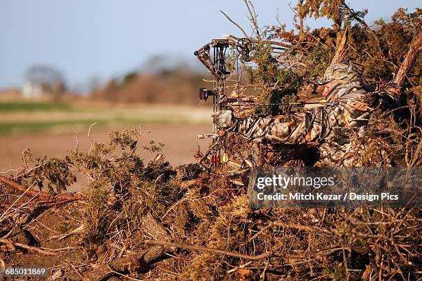 turkey hunter sits in ground blind made from natural materials - turkey hunting 個照片及圖片檔