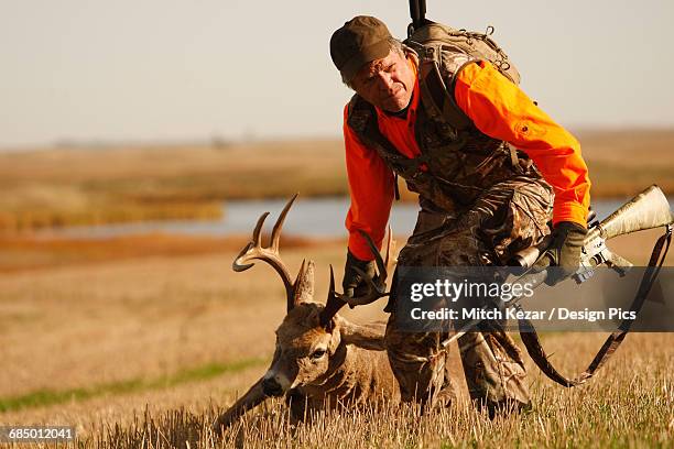 deer hunter dragging dead deer across field - dead deer fotografías e imágenes de stock