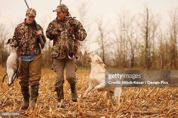 hunters in field with yellow labs - camo pants stock pictures, royalty-free photos & images