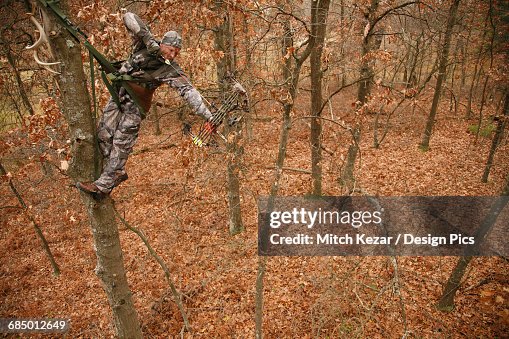 Hunter In Tree Saddle Drawing Compound Bow Hunter In Tree Saddle Drawing Compound Bow