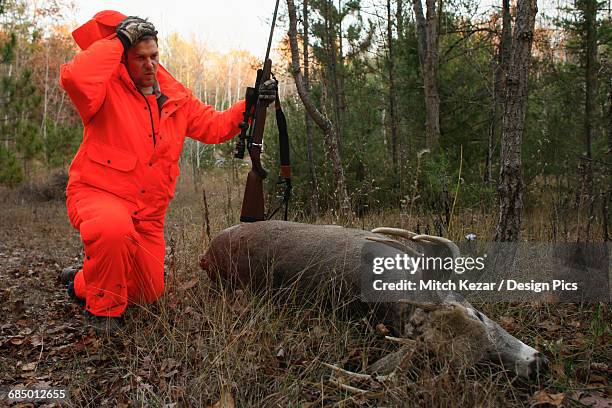 whitetail deer hunter stops to rest while dragging dead deer - dead deer stock pictures, royalty-free photos & images