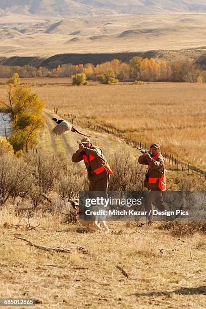 Two Point Mountain (Idaho) Photos and Premium High Res Pictures Getty