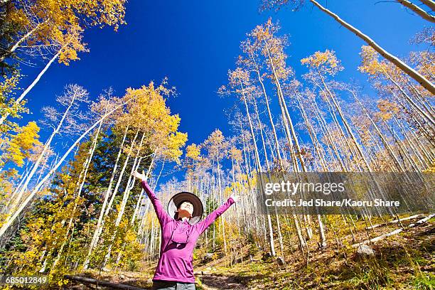 japanese woman celebrating in forest - aspen tree grove stock pictures, royalty-free photos & images