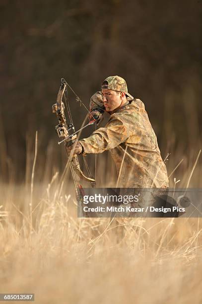 deer hunter aiming rifle in the midwest - bow and arrow stock pictures, royalty-free photos & images