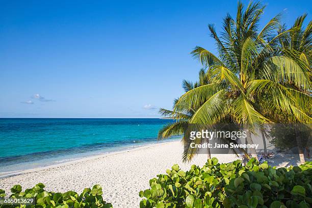 playa esmeralda, holguin province, cuba, west indies, caribbean, central america - kuba strand stock-fotos und bilder