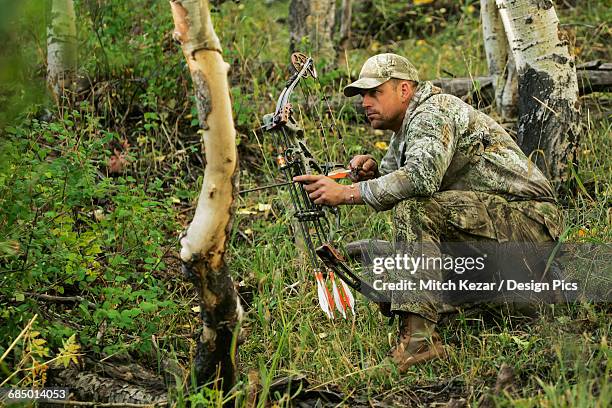 elk hunter with bow - bow hunting stock pictures, royalty-free photos & images