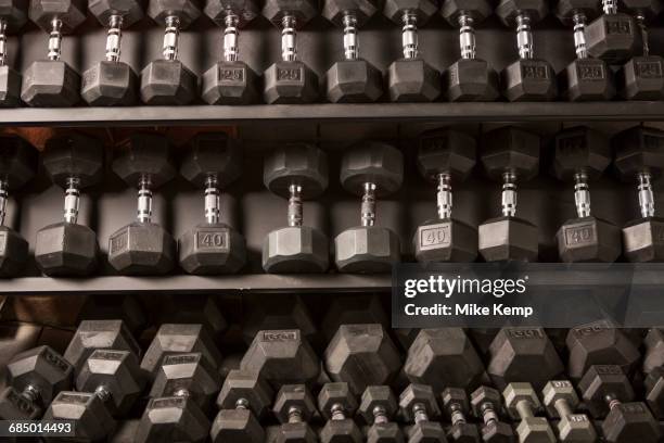 dumbbells on rack - poids-et-haltères photos et images de collection