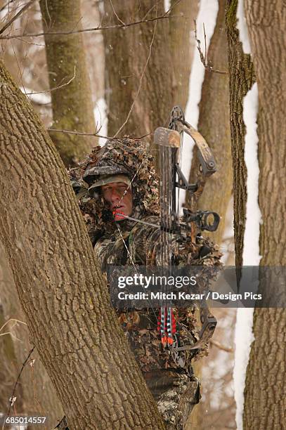 male bowhunter draws bow in snow while deer hunting - bow hunting stock pictures, royalty-free photos & images