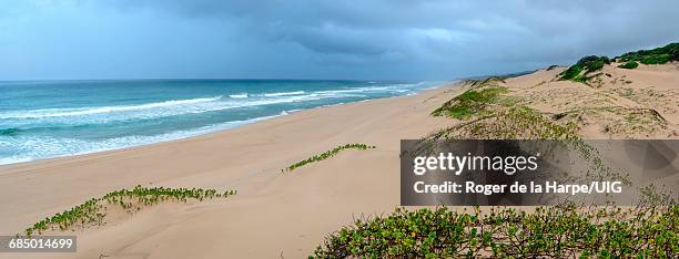 storm at sea, mabibi, maputaland, kwazulu natal, south africa - maputaland fotografías e imágenes de stock