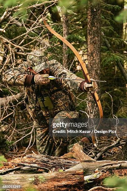 traditional bow hunter with bow in woods - bow hunting stock pictures, royalty-free photos & images