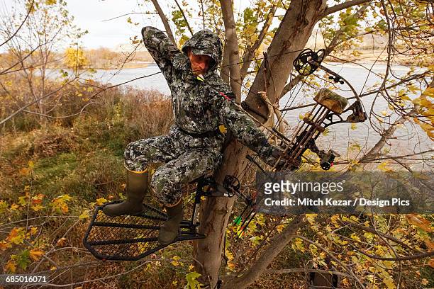 bowhunter aiming from tree saddle - spy hunter stock pictures, royalty-free photos & images