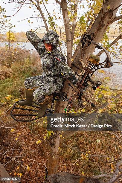 bowhunter aiming from tree saddle - spy hunter stock pictures, royalty-free photos & images